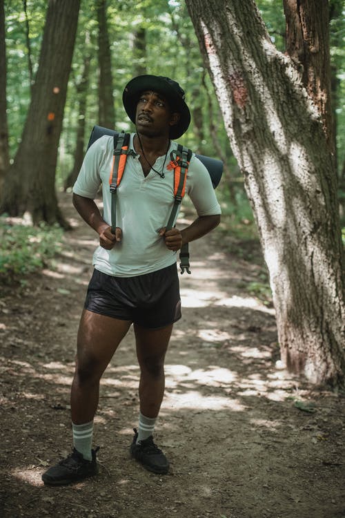 梦幻般的黑人男性徒步旅行者在树林里的途径 · 免费素材图片