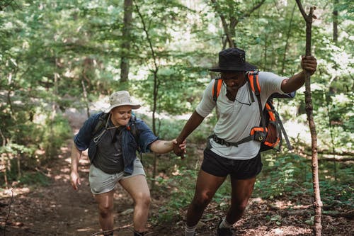 不同的徒步旅行者在森林里攀爬 · 免费素材图片