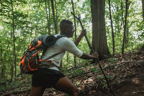 男背包徒步旅行者沿着森林的山坡，用棍子 · 免费素材图片