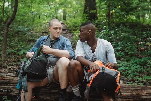 多种族的徒步旅行者坐在森林里的树桩上 · 免费素材图片