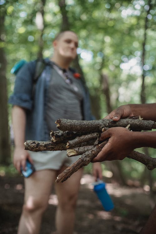 在树林里的搭档附近用树枝修剪黑色的徒步旅行者 · 免费素材图片