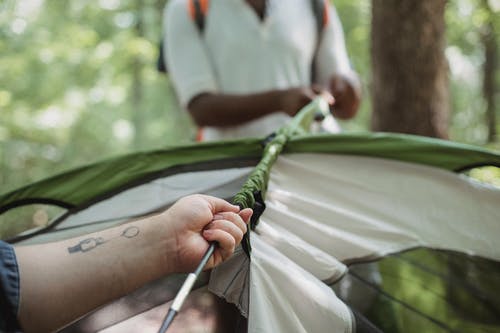 作物多种族的朋友在树林里搭帐篷 · 免费素材图片
