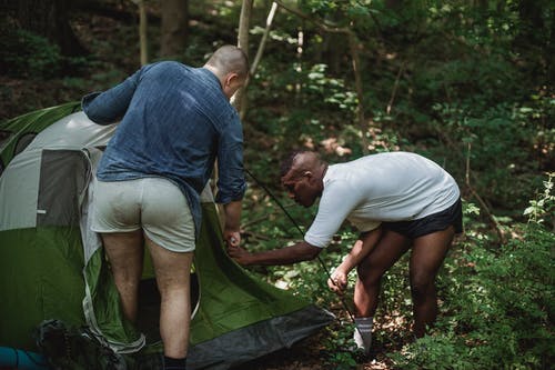 集中的人在森林里放帐篷 · 免费素材图片