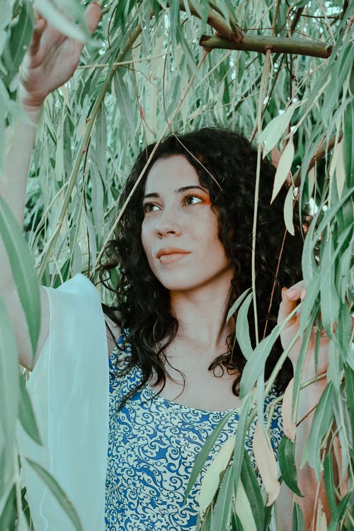 有关个性, 个性, 冷静的免费素材图片