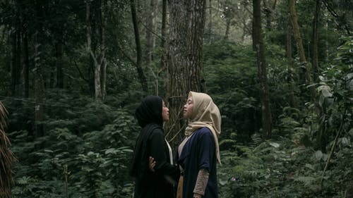 有关一起, 天性, 女性的免费素材图片