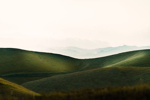 有关冷静, 和平的, 和谐的免费素材图片