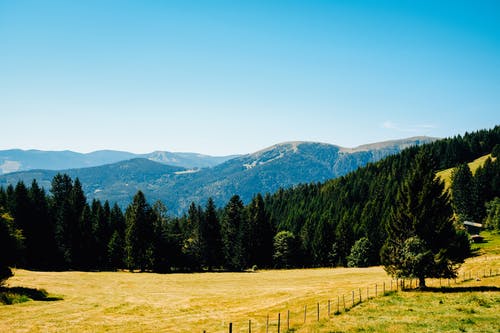 有关不变, 冷静, 和平的的免费素材图片