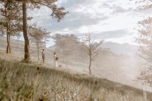优雅的新婚夫妇站在雾山 · 免费素材图片