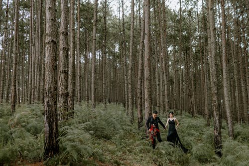 走在茂密的森林中的年轻夫妇 · 免费素材图片