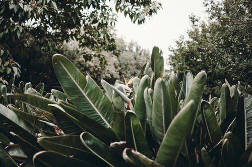 有关公园, 和平的, 和谐的免费素材图片