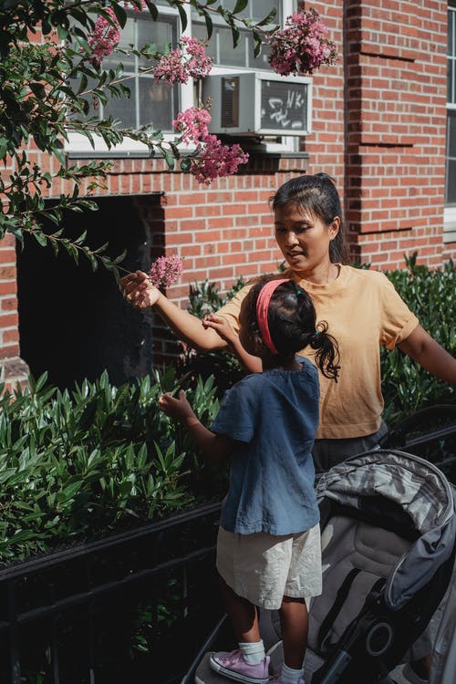 亚洲母亲和女儿接触开花的树 · 免费素材图片