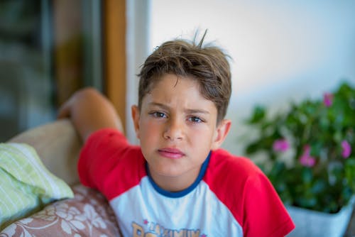 有关可爱, 圆领t恤, 室内的免费素材图片