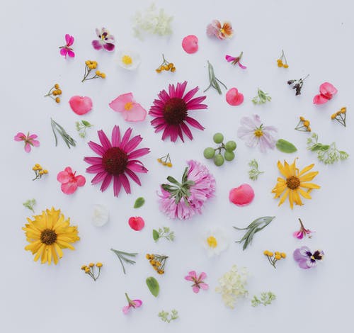 有关Flatlay, 不一样, 什锦的的免费素材图片