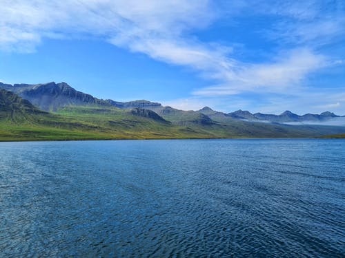 有关冷静, 华丽的, 和谐的免费素材图片