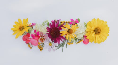 有关一串, 什锦的, 布局的免费素材图片