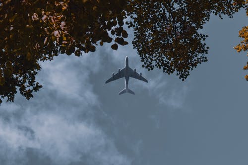 有关从下面, 低角度, 光的免费素材图片