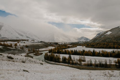 山谷与针叶树背后的雪山 · 免费素材图片