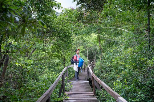 有关享受, 人行天桥, 人行道的免费素材图片