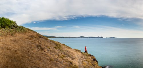 有关不露面, 享受, 佩服的免费素材图片