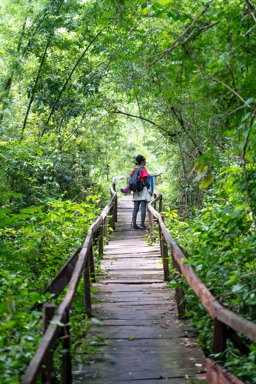 有关不露面, 人行天桥, 人行道的免费素材图片