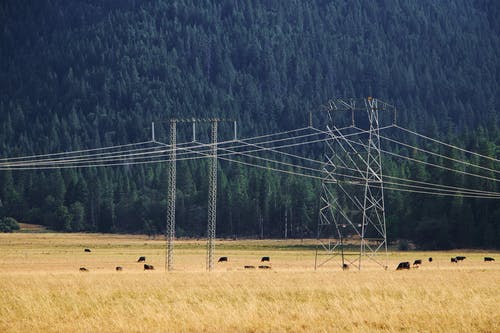 有关健康, 公园, 冷静的免费素材图片