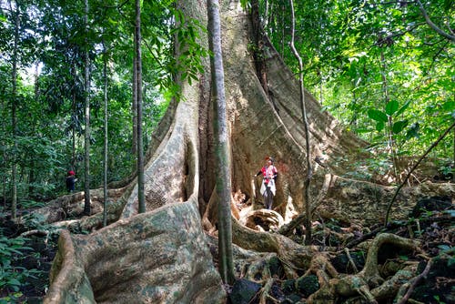 有关人, 假期, 健行的免费素材图片