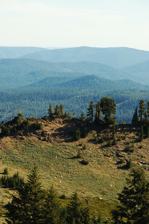 有关冒险, 冷杉, 冷静的免费素材图片