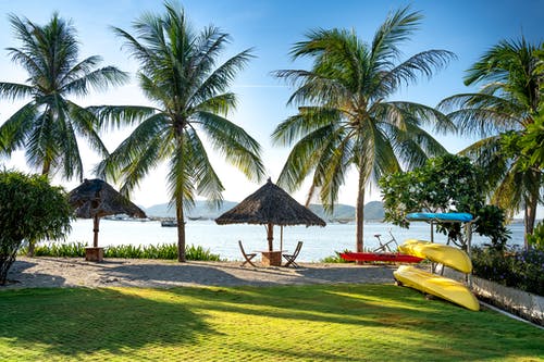 有关和平的, 和谐, 国家的免费素材图片