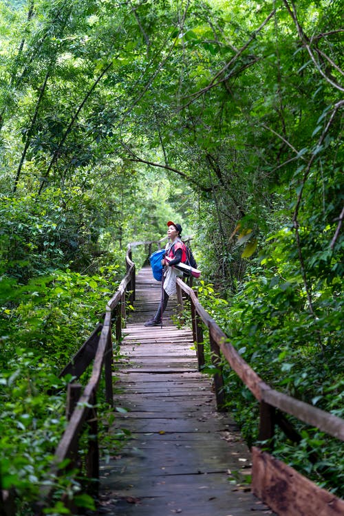 有关不露面, 人行天桥, 人行道的免费素材图片
