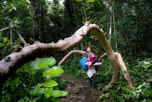 有关享受, 人行道, 佩服的免费素材图片