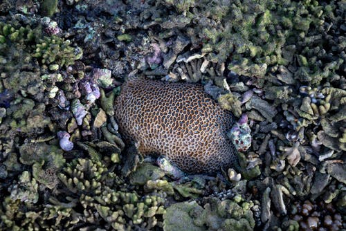 有关低潮, 俯视图, 假日的免费素材图片