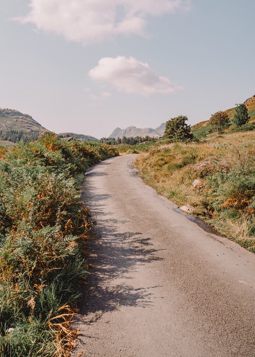 有关充满活力, 冷静, 原本的免费素材图片