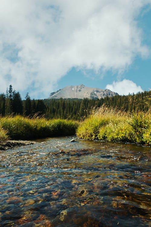 有关佩服, 冷静, 和平的的免费素材图片