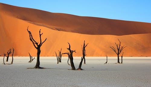 有关deadvlei, 乾旱, 乾的的免费素材图片