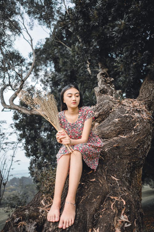 有关一串, 休息, 休闲的免费素材图片