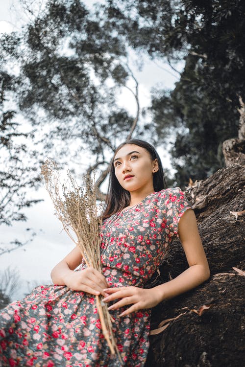 有关一串, 休息, 休闲的免费素材图片