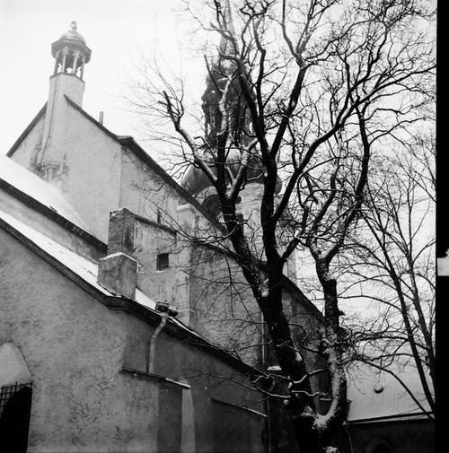 来自 Alex 的免费素材图片 · Pexels