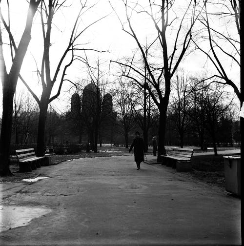 有关bw, 不露面, 人行道的免费素材图片