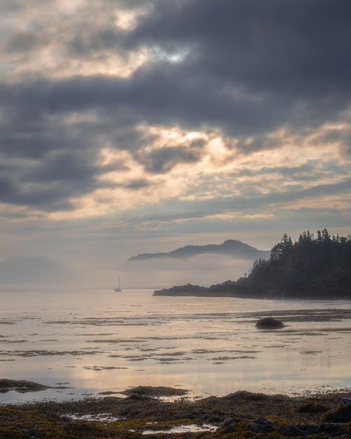 有关冷静, 反射, 和平的的免费素材图片