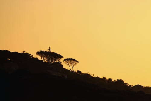 有关冷静, 剪影, 和平的的免费素材图片