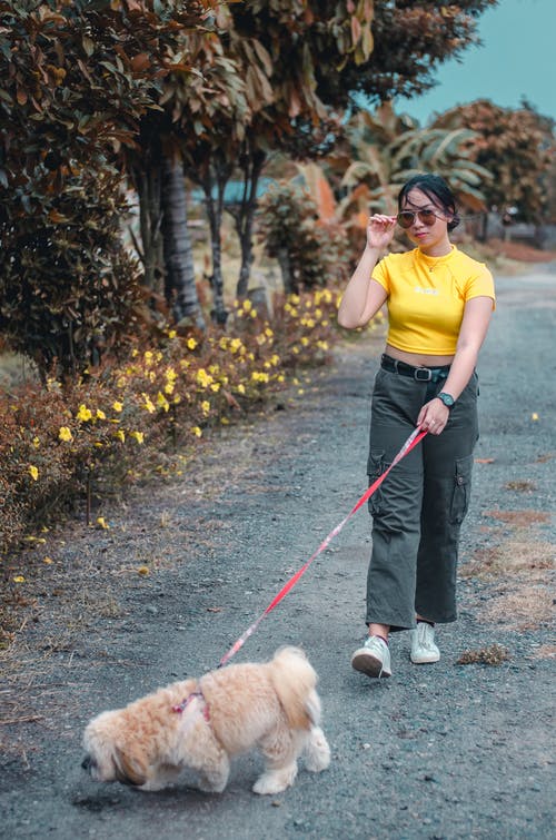 有关垂直拍摄, 墨镜, 女人的免费素材图片