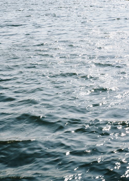 有关冷静, 反射, 和平的免费素材图片