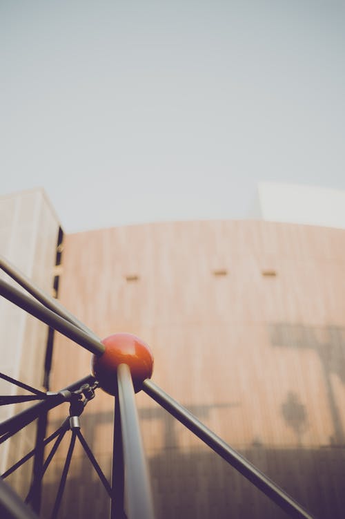 有关从下面, 低角度, 公园的免费素材图片