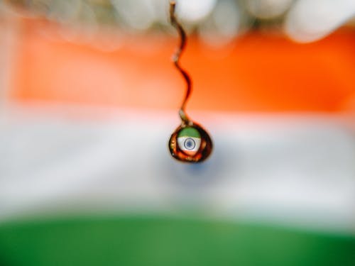 有关印度国旗, 专注, 旗的免费素材图片