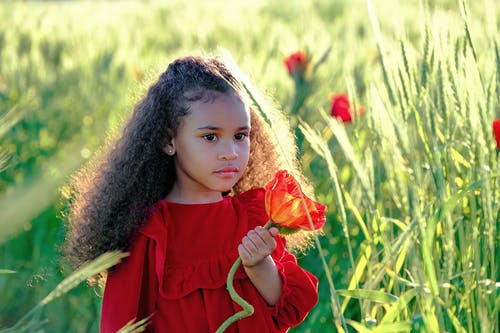 迷人的黑人女孩，在丰富的草原上开红色花 · 免费素材图片