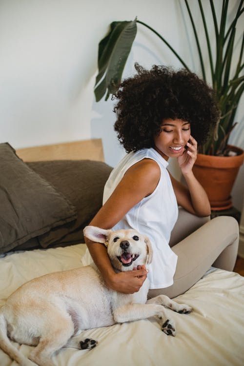 微笑的黑女人爱抚纯种有趣的狗 · 免费素材图片