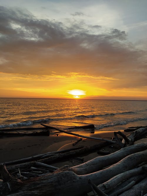 有关剪影, 原本, 地平線的免费素材图片