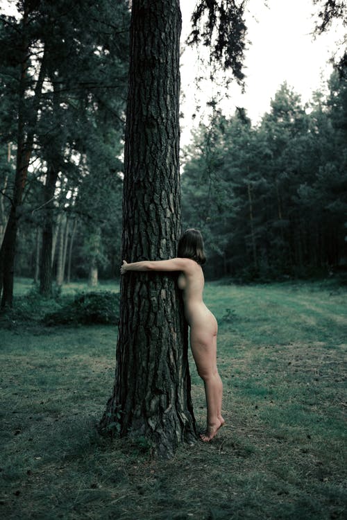 站立在树附近的无法认出的赤裸妇女 · 免费素材图片