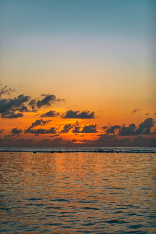 有关充满活力, 冷静, 华丽的的免费素材图片