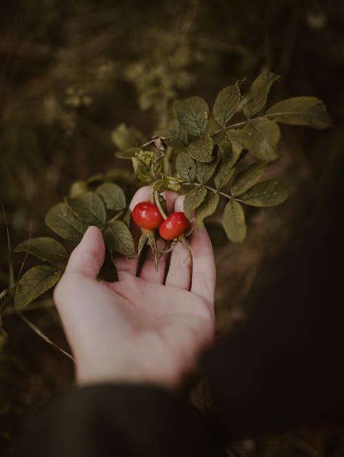 有关不露面, 人, 健康的免费素材图片